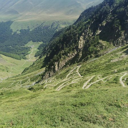 Maison 13 Pers A 10Mn De Luchon Cazaux-Layrisse エクステリア 写真