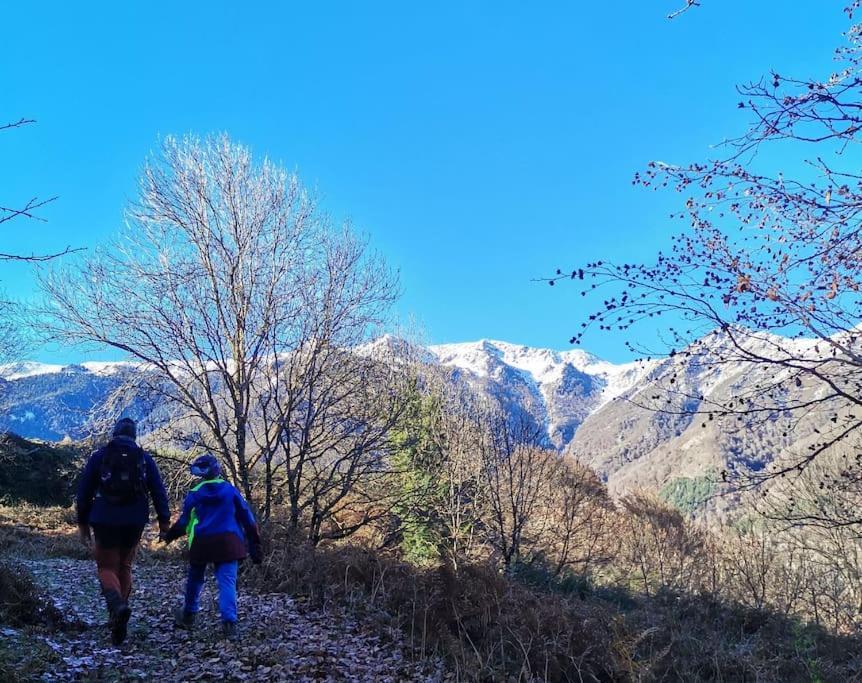 Maison 13 Pers A 10Mn De Luchon Cazaux-Layrisse エクステリア 写真