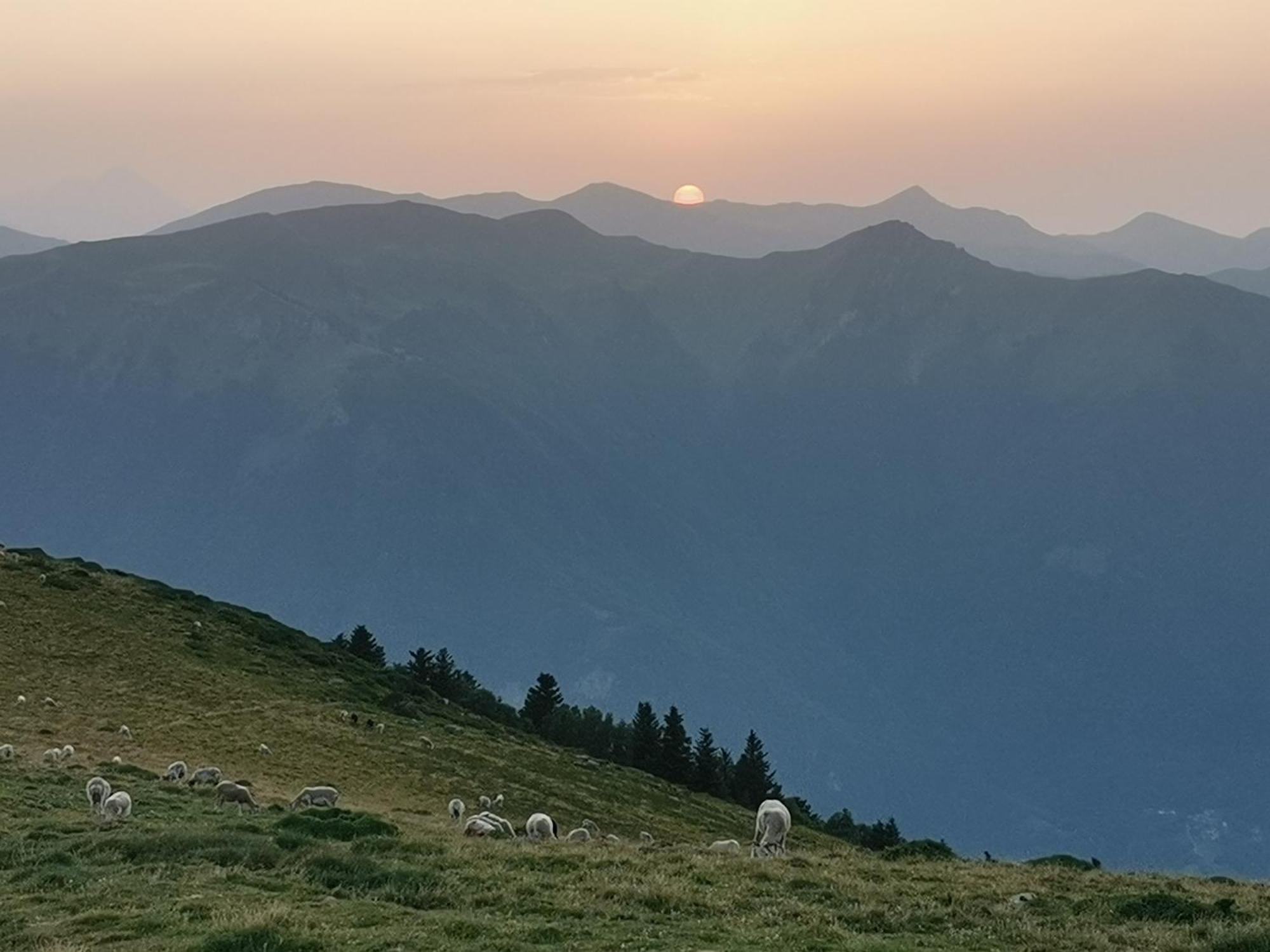 Maison 13 Pers A 10Mn De Luchon Cazaux-Layrisse エクステリア 写真